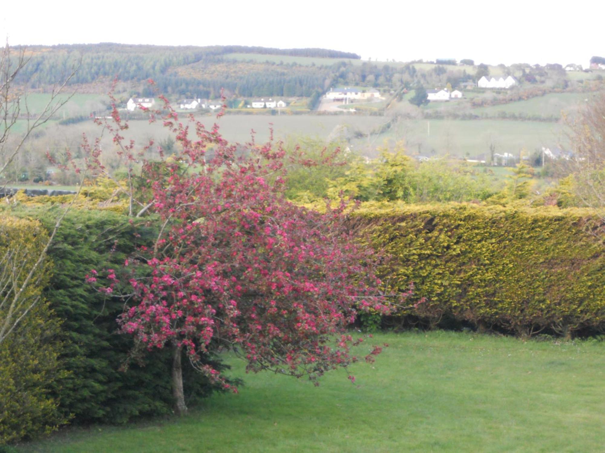 Rhu Glenn Hotel Waterford Zewnętrze zdjęcie