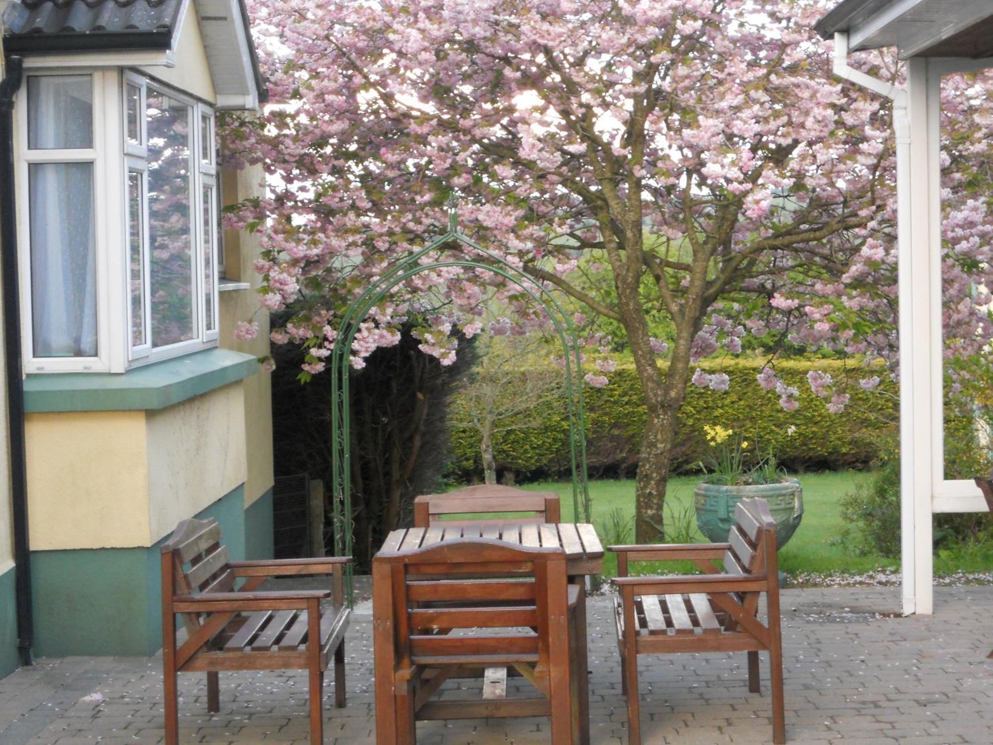 Rhu Glenn Hotel Waterford Zewnętrze zdjęcie